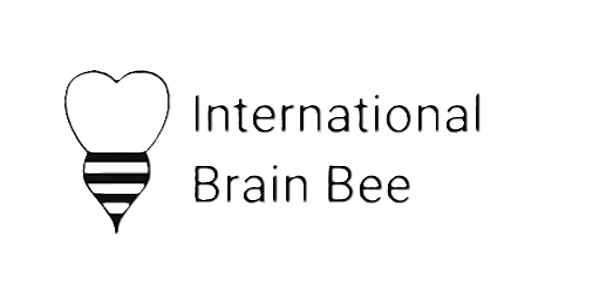 Powered by partner 2